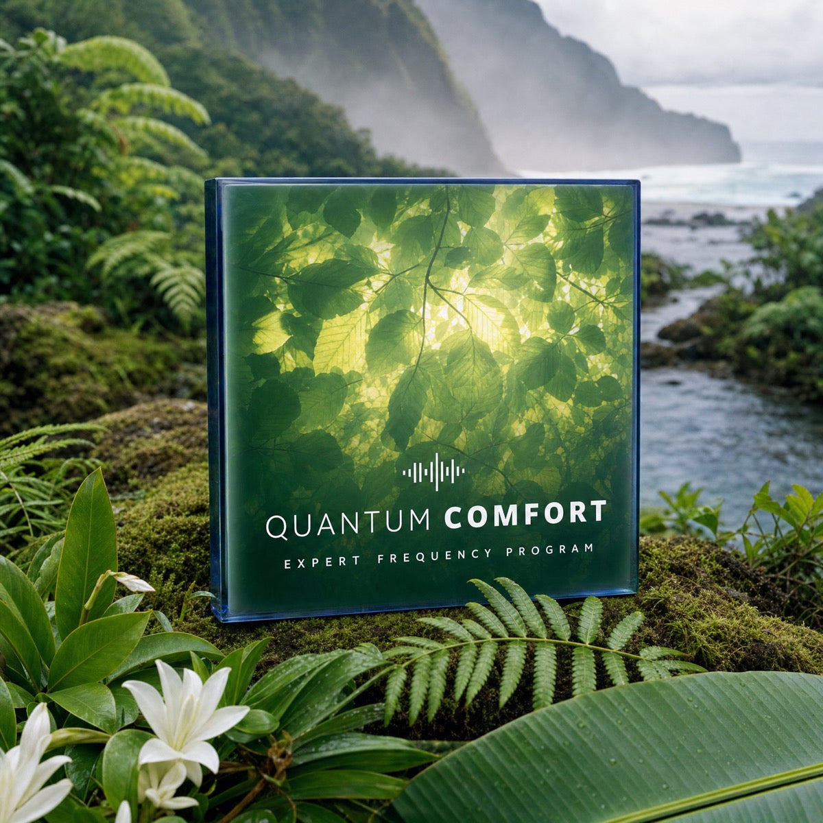 Quantum Comfort